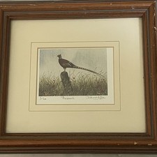 Framed Pheasant Limited Edition Prints By D Hinchcliffe 4/600 Signed 9 X 8 Inch