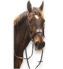 New Premium Quality Horse