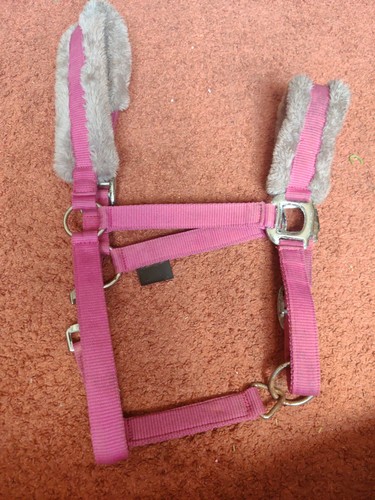Full size horse head collar - full,