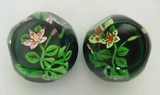 Ltd Ed Pair Caithness William Manson Orchid Paperweights "Pink & Yellow"(15/150)