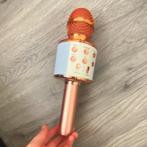 Rose gold karaoke - rose, microphone