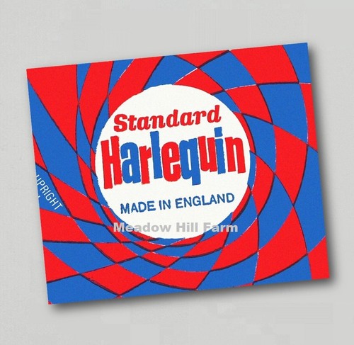 Fridge magnet standard - fridge,