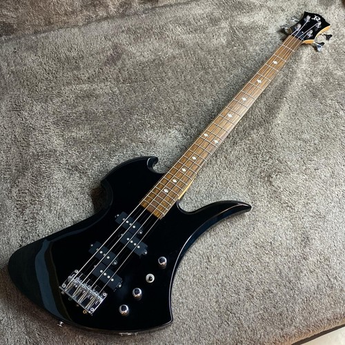Rich mockingbird bass - bc,