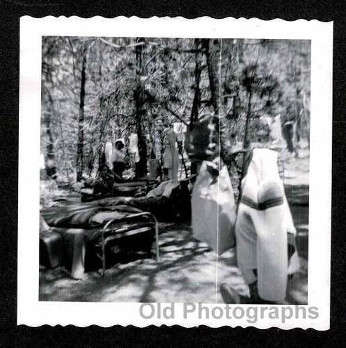 Woods forest camping odd weird - woods,