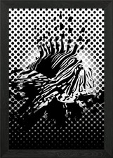 Lion Fish Dark Framed Wall Art