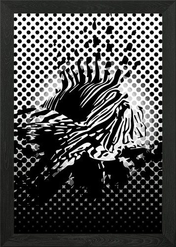 Lion fish dark - fish, framed