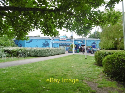 Photo 6x4 weymouth sealife - photo,