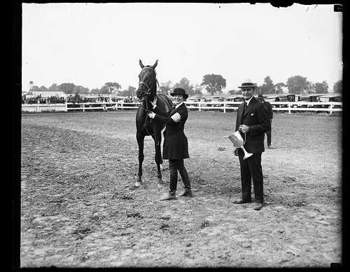Photo 1925 horse - photo:1925, show