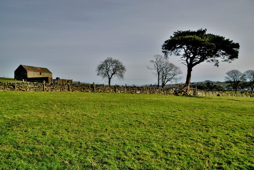 Photo 6x4 barn and - 6x4, pine