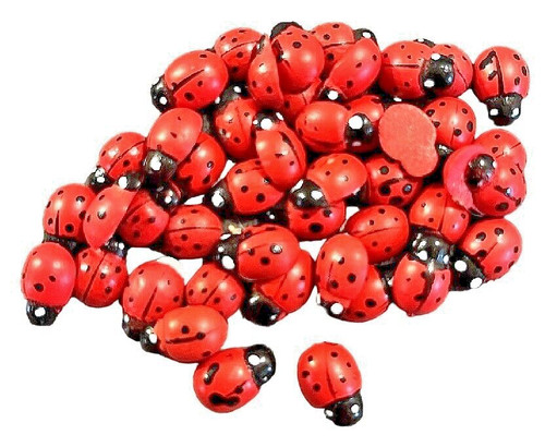 Small ladybird - x,