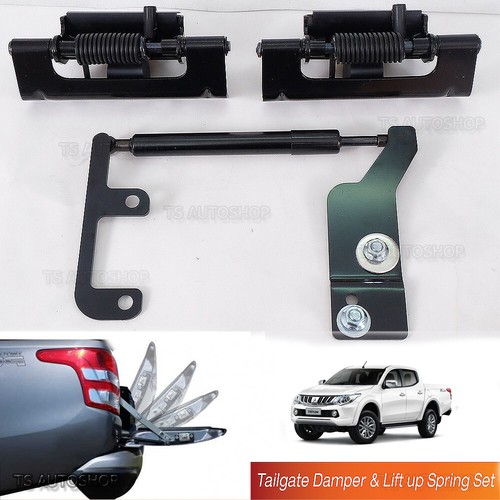Tailgate damper torsion spring - tailgate,