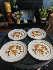 Denby Cotswold  Dinner Plates