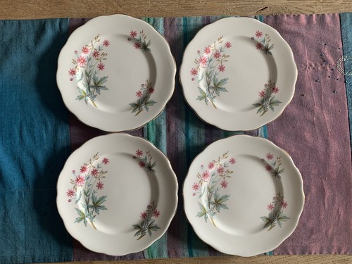 Vintage roslyn china - vintage,