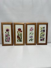 Set of 4 Framed Botanical Prints – by Angela Faulkner
