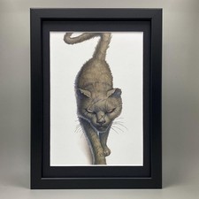 GREEBO FRAMED ART. PAUL KIDBY