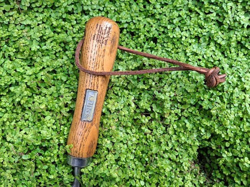 Joseph bentley traditional - joseph,