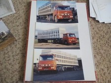 3 X    VINTAGE ERF TRUCK  PHOTOGRAPH COLOUR [ LIVESTOCK   ] BVT 357C
