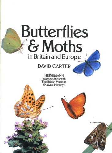 Butterflies and moths - butterflies,