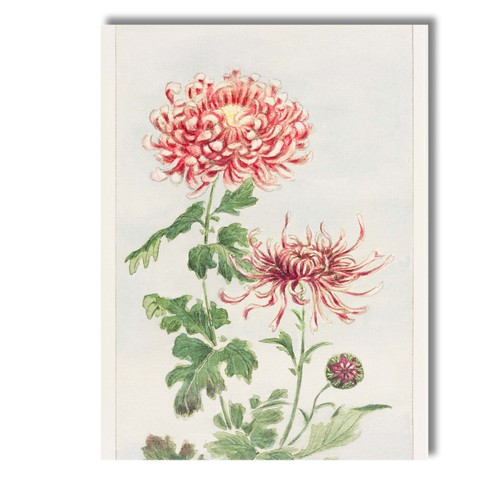 Canvas wall art - canvas, decor