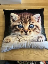 Kitten Cushion