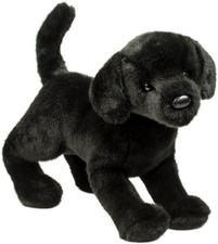 Douglas Chester Black Lab Dog
