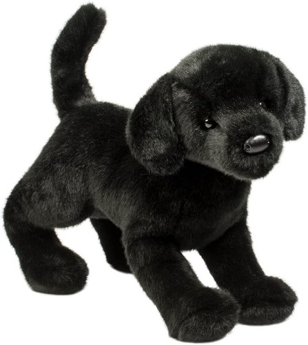 Douglas chester black lab - douglas,