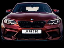 Jatt Sikh Punjabi Singh