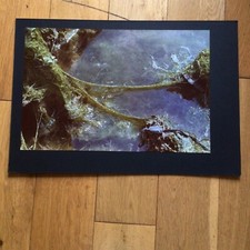 Vintage 1960s Amateur Photo - Algae - Zenith Camera Club