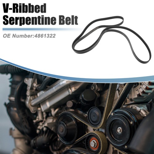 Ribbed serpentine drive belt - drive,