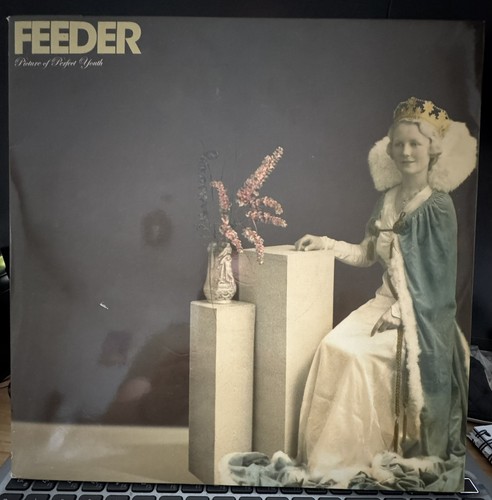 Feeder picture perfect - of,