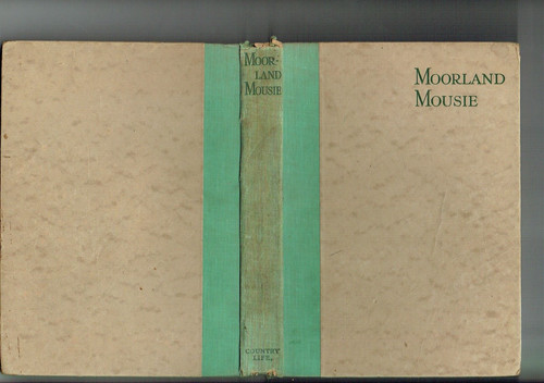 Moorland mousie golden - moorland, by