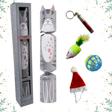 Christmas Cracker For Cat Kitten Pet With 4 Interactive Toys Silver Novelty Xmas