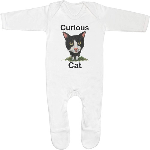 Curious cat baby - cat', /