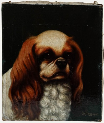 Albert haug 1908 oil - albert,