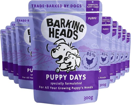 Wet puppy dog - -, chicken