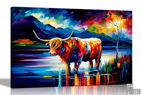 Colourful highland cow animal - colourful,