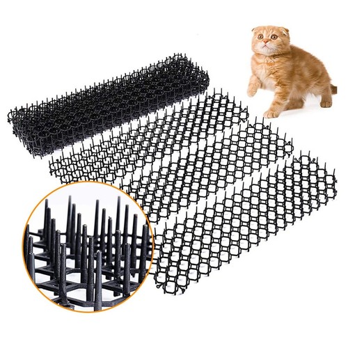 Cat scat mat spike - cat,