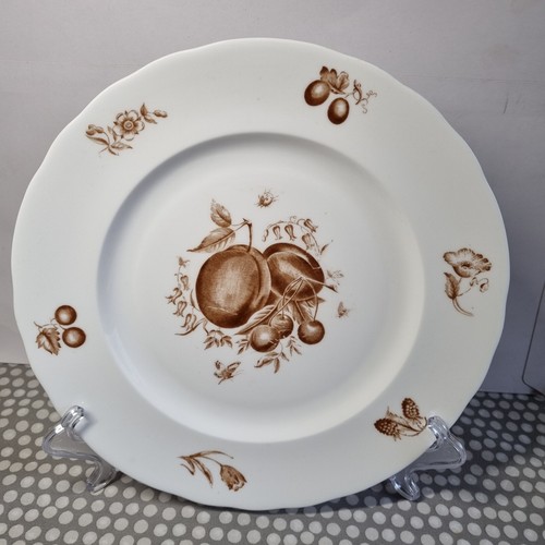 Vintage royal worcester brown - vintage,