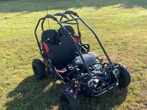 Shark kids kart two seater - go,