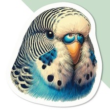 'Budgerigar Portrait' Decal