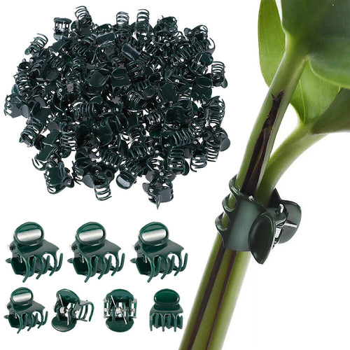 Orchid plant support clips - orchid,