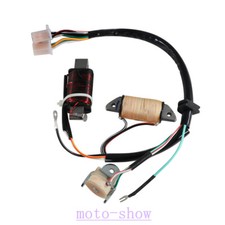 Magneto Generator Stator Coil