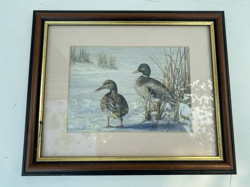 Mark chester duck painting - mark,