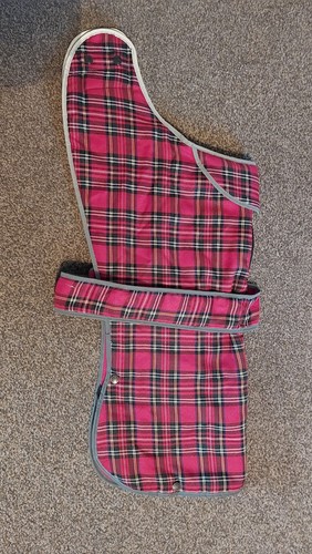 Red tartan ancol - ancol, muddy