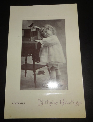 Birthday greetings playmates - birthday,
