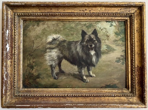 Antique victorian spitz dog - victorian,