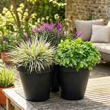 Stacking garden flower - garden, pot