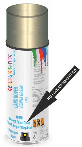 Aerosol spray paint direct - spray,