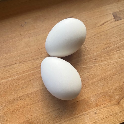 Blown goose eggs clean - 🪿2, eggs,