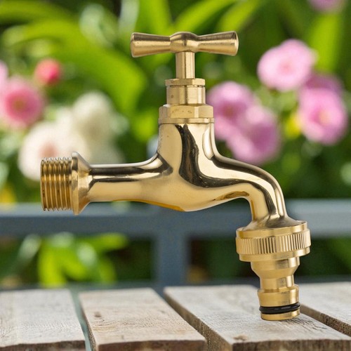 Bsp polished brass - bsp,
